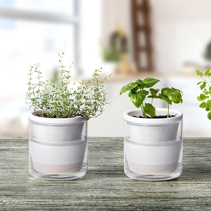 D'vine Dev 4 Inch Design Self Watering Planter - Image 7