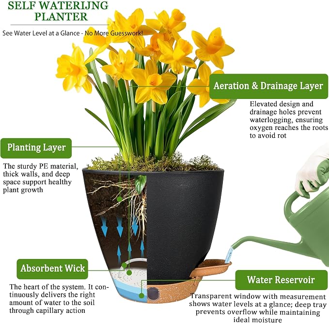 6 Inch Self Watering Pots for Indoor Plants – Small Plastic Planters - Image 8