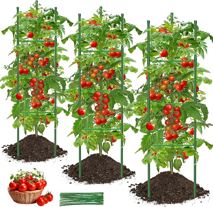 Tomato Cage, Raised Garden Bed Plant Support Stakes by GrowYourGreenParadise