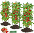 Tomato Cage, Raised Garden Bed Plant Support Stakes by GrowYourGreenParadise