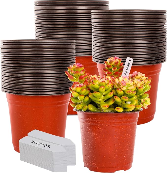 Plant Nursery Pot/Pots 200 Pcs 6" Plastic Plants Pots Flower Pots Seed Starting by LWWTBS