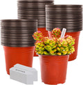 Plant Nursery Pot/Pots 200 Pcs 6" Plastic Plants Pots Flower Pots Seed Starting by LWWTBS