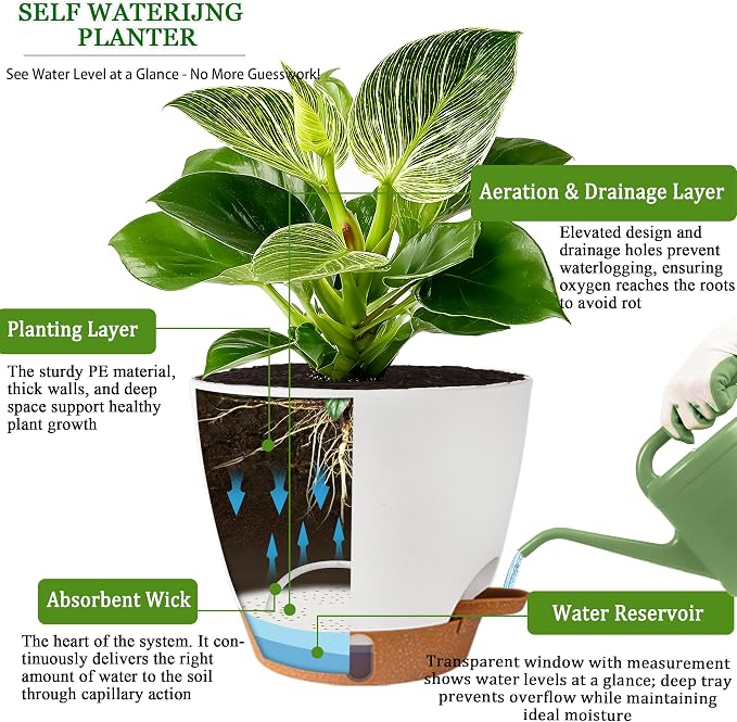 Self Watering Pots for Inoor Ourdoor Plants 8/7/6.5/6/5 Inch Plastic Planters - Image 5