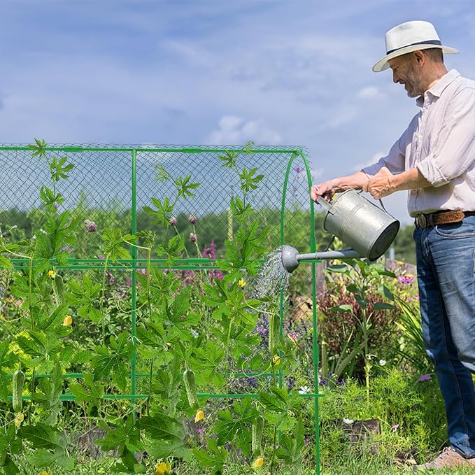 codree Garden Cucumber Trellis for Plant -47x 47 Inch Metal Arch Melon Trellis - Image 6