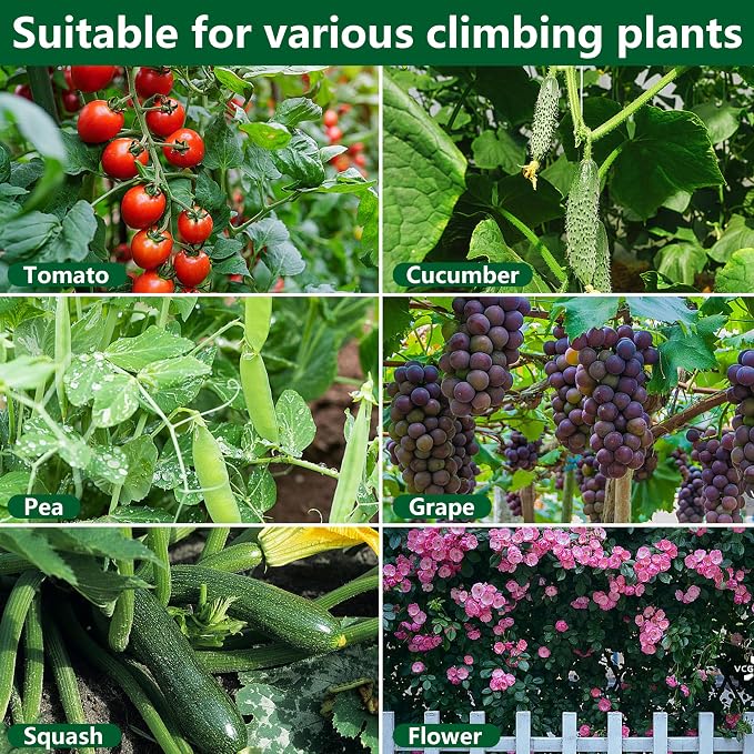 codree Garden Cucumber Trellis for Plant -47x 47 Inch Metal Arch Melon Trellis - Image 5