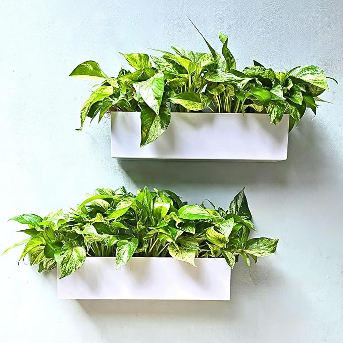 LaLaGreen Wall Planter Carbon Steel White Metal Hanging Flower Pot by L%C3%A1L%C3%A1Green