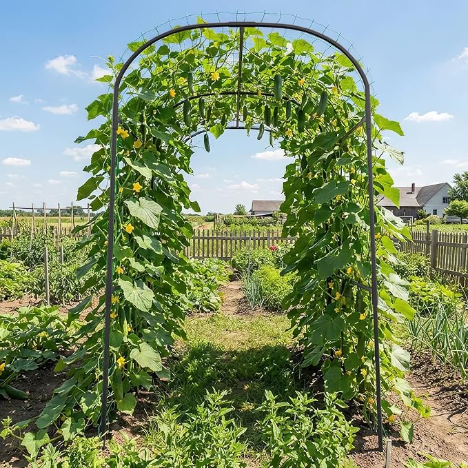 SUNYRISY Garden Arch Trellis for Climbing Plants Outdoor - Image 7