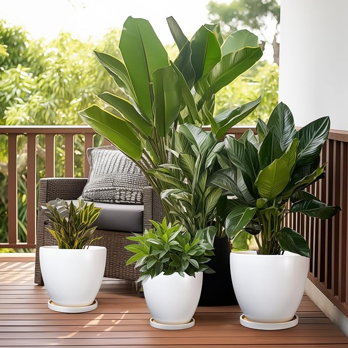 8 Inch Plant Pot - Image 7