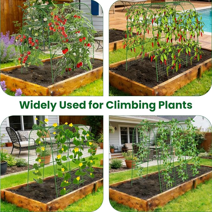Cucumber Trellis for Raised Bed 64" L x 48" H, U-Shape Garden Trellis for - Image 7