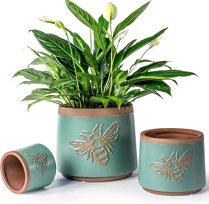 YBX Terracotta Pots Inch with Drainage Holes, Bee Decor, Ceramic Pots by YBXYIBOXUAN