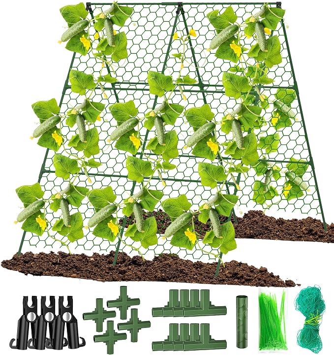 Cucumber Trellis, Foldable Trellis Cucumber by DSTANA