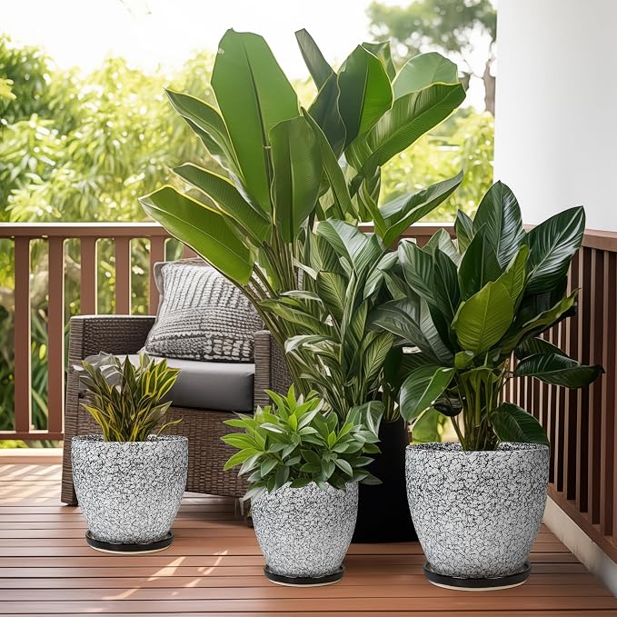 Ceramic Planter - Image 7