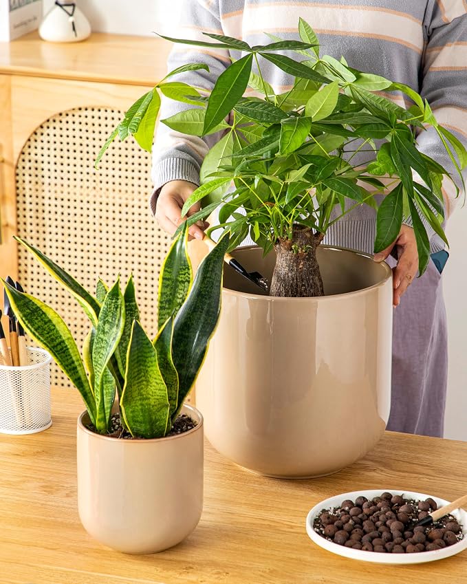 vancasso 6+8+10 inches Ceramic Plant Pots, Planters - Image 8