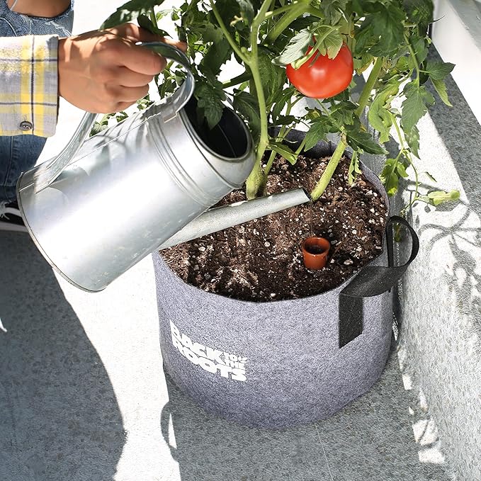 Back to the Roots Self-Watering Terracotta Olla Pot, 700mL Provides 1 Week of - Image 5
