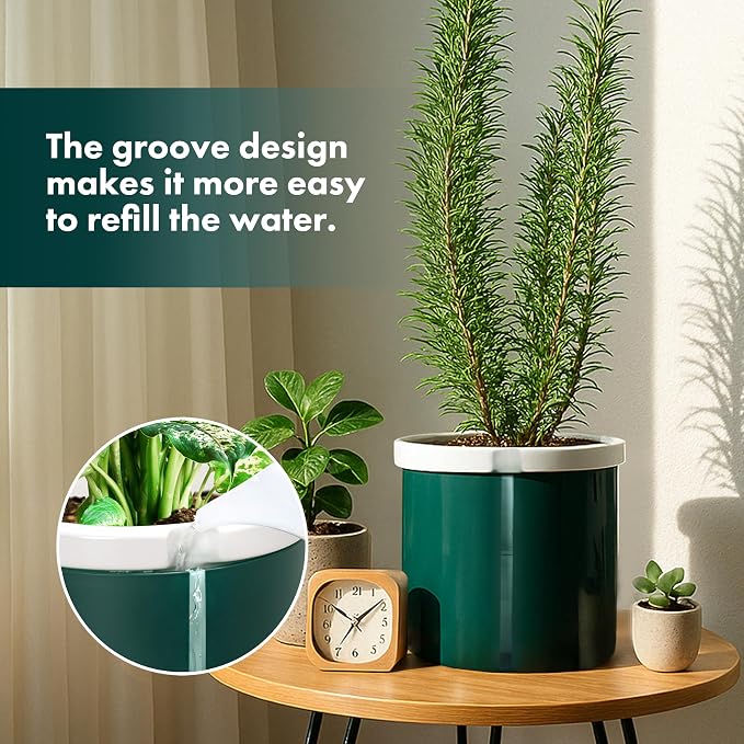 D'vine Dev 8 Inch Design Self Watering Planter - Image 4