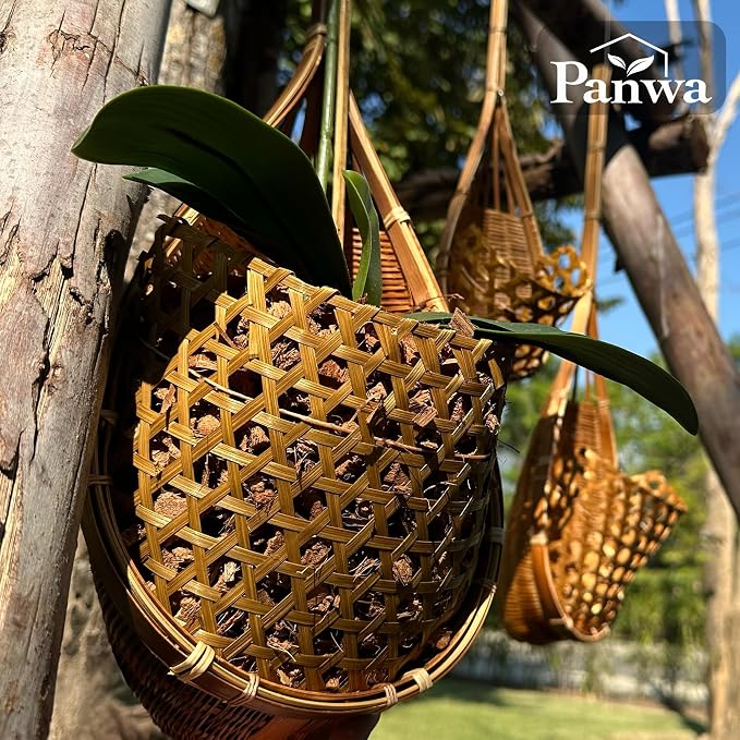 Handmade 100% Thai Bamboo Hanging Orchid Basket – 4 Inch, 5 Inch, 6 Inch - Image 3