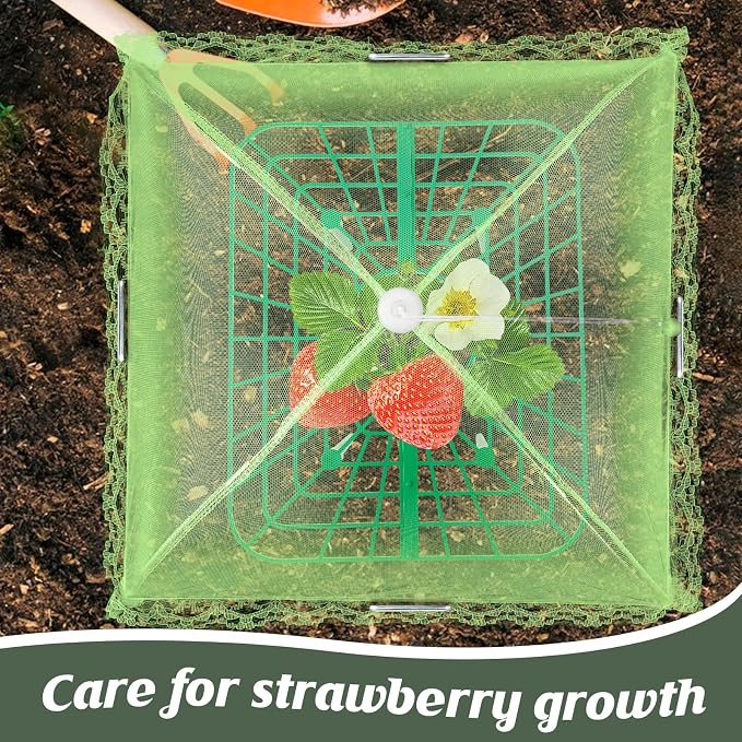 4 Sets Strawberry Plant Support - Image 5