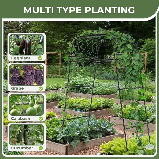 Garden Arch Plant Trellis for Climbing Plants Outdoor, Cucumber Trellis for - Image 4