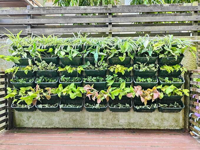 Maxona Black Color Vertical Garden Planter - Image 9