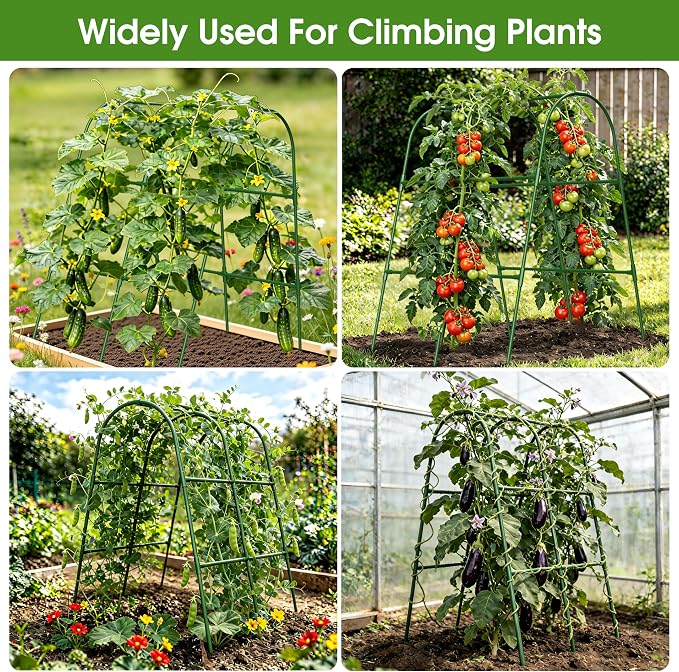 Cucumber Trellis for Raised Bed, U-Shape Garden Trellis for Climbing Plants - Image 7