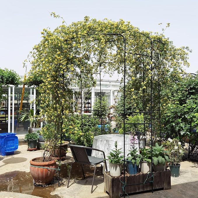 French Style Birdcage Shape Heavy Duty Gazebo, Pergola Pavilion Arch Arbor - Image 3