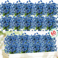 60 Pack Artificial Flowers for Outdoor Indoor Fake Plants, Faux Silk Flowers by Powbrace