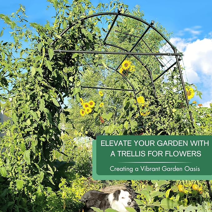 Garden Arch Trellis 7FT Extra Tall Polyethylene-Coated Stainless Steel Garden - Image 3