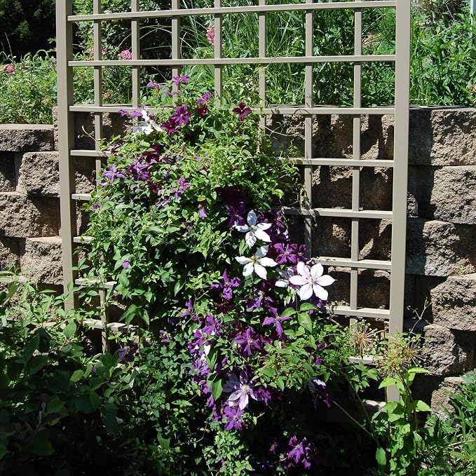 Dura-Trel Winchester 57 x 95 Inch PVC Vinyl Outdoor Garden Patio Trellis - Image 5