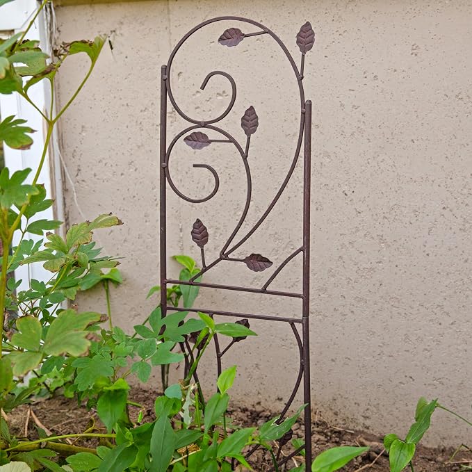 Sunnydaze 32-Inch Rustic Plant Design Outdoor Garden Trellis - Image 5