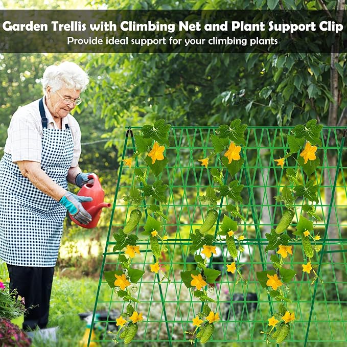 48 x 48 Inch Foldable Cucumber Trellis - Image 6