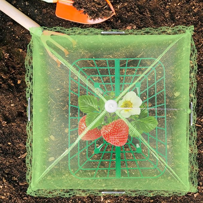 4 Sets Strawberry Plant Support - Image 5