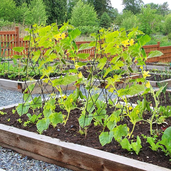 Cucumber Trellis 2 Pack, Foldable A-Frame Garden Trellis - Image 9