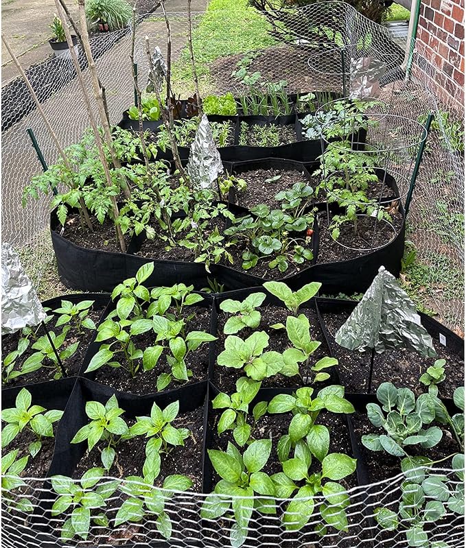 CJGQ Fabric Raised Garden Bed 6x3x1ft Garden Grow Bed Bags - Image 6