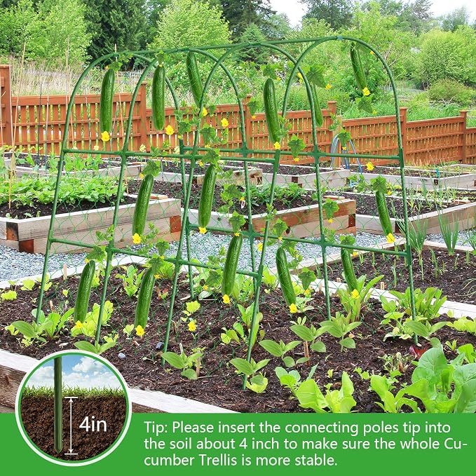 Cucumber Trellis for Raised Bed, 48x48 inch U-Shape Metal Garden Trellis for - Image 6