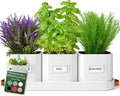 volila Herb Planter Indoor by volila