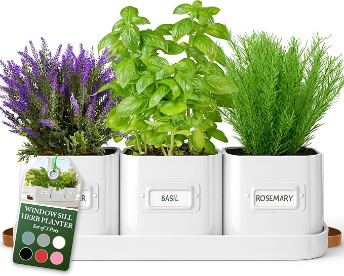 volila Herb Planter Indoor by volila