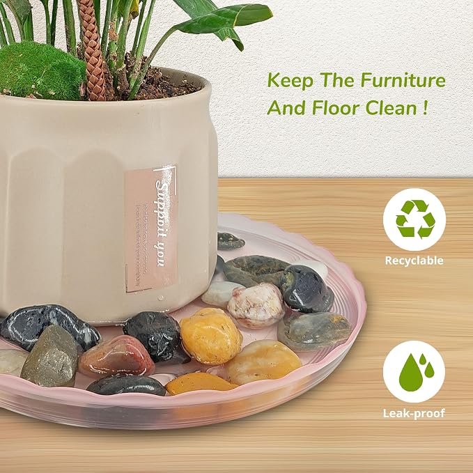 12Pcs Clear Plant Saucer, 6 8 10 Inch Durable Plastic Plant Tray, Round Plant - Image 3