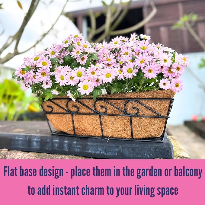 LaLaGreen Wall Planters for Outdoor Plants Window Flower Boxes Basket Attach to - Image 5