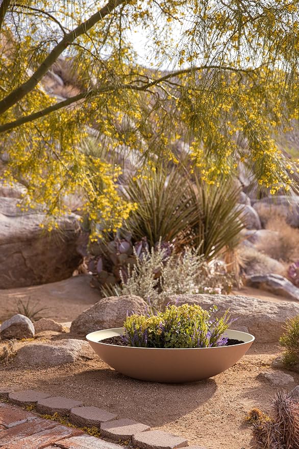 Veradek Mason Series Lane Bowl Planter| - Image 4