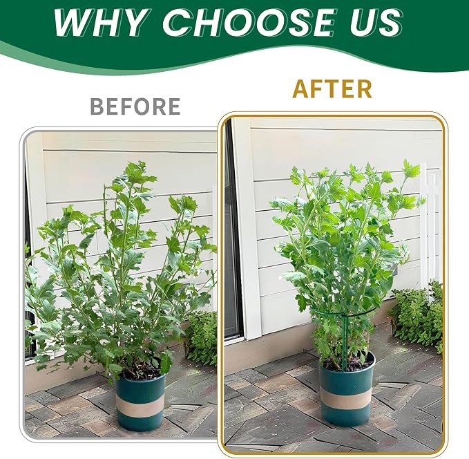 TCBWFY 10 Pack Garden Plant Support Stakes, Plant Supports - Image 4