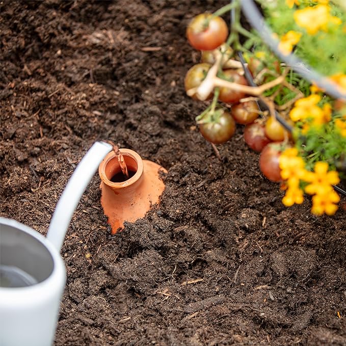 Back to the Roots Self-Watering Terracotta Olla Pot, 700mL Provides 1 Week of - Image 4