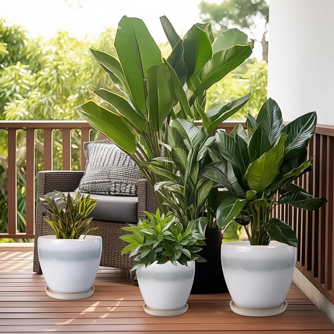 6.3 Inch Plant Pot - Image 7