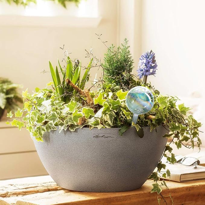 Clear Plant Watering Globes Set of 6 - Image 2