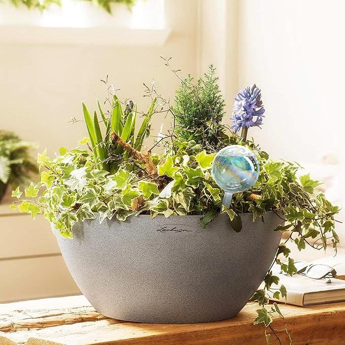 Clear Plant Watering Globes Set of 6 - Image 2