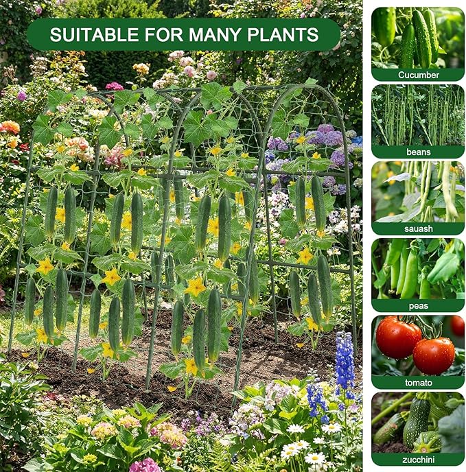 Cucumber Trellis for Raised Bed - Image 7