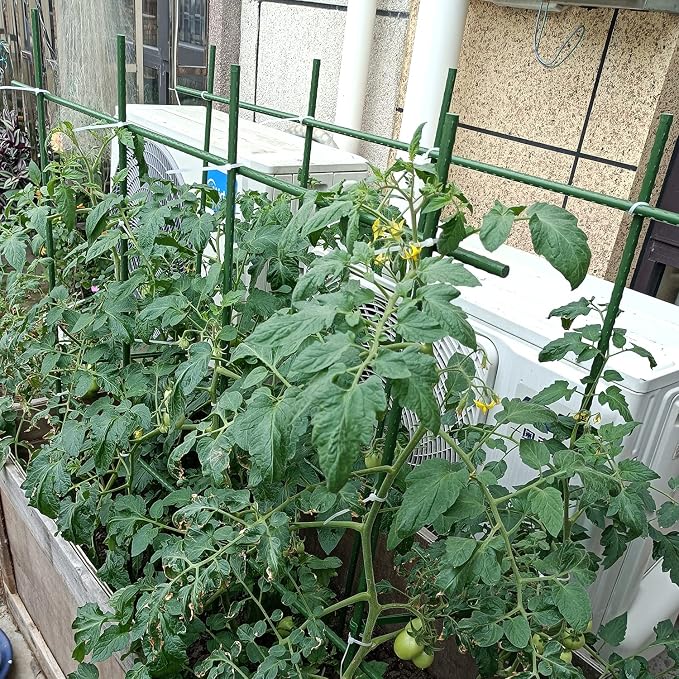 4Feet 48inch Garden Stakes Sturdy Plant Sticks Support Tomato Stakes - Image 3