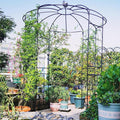 LDAILY Birdcage Shape Garden Arch, 9.3 x 6.5FT Arbor by LDAILY