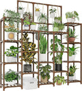 Plant Stand Indoor Outdoor 63" Tall Plant Shelf by Gentingbro