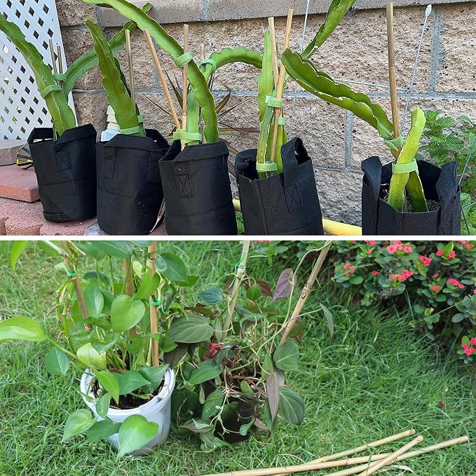50Pcs / 18 inch Bamboo Plant Stakes - Image 6