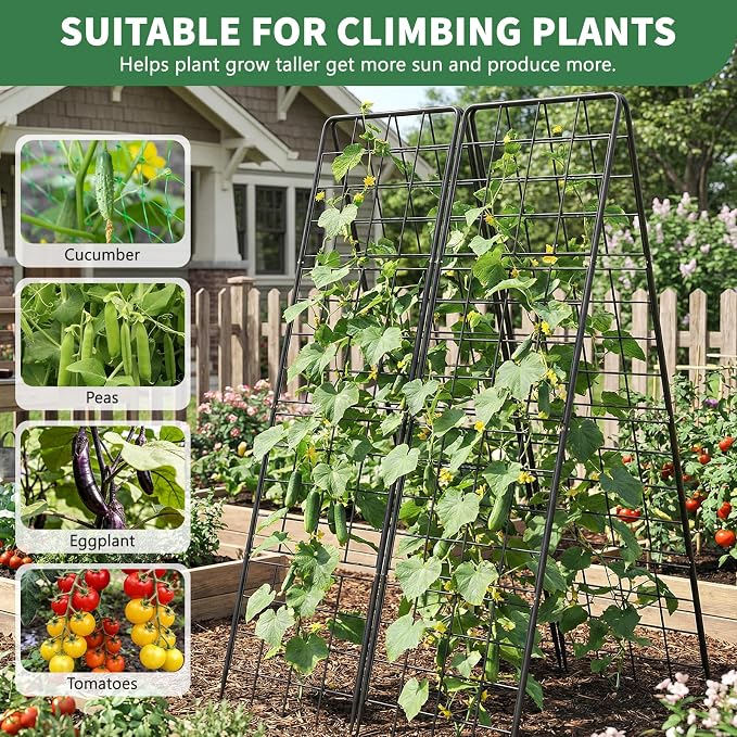 2 Pack Cucumber Trellis, Climbing Plants and Flowers - Image 2